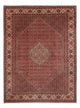 Bidjar - Bukan Tæppe 340x250cm - Persisk tæppe