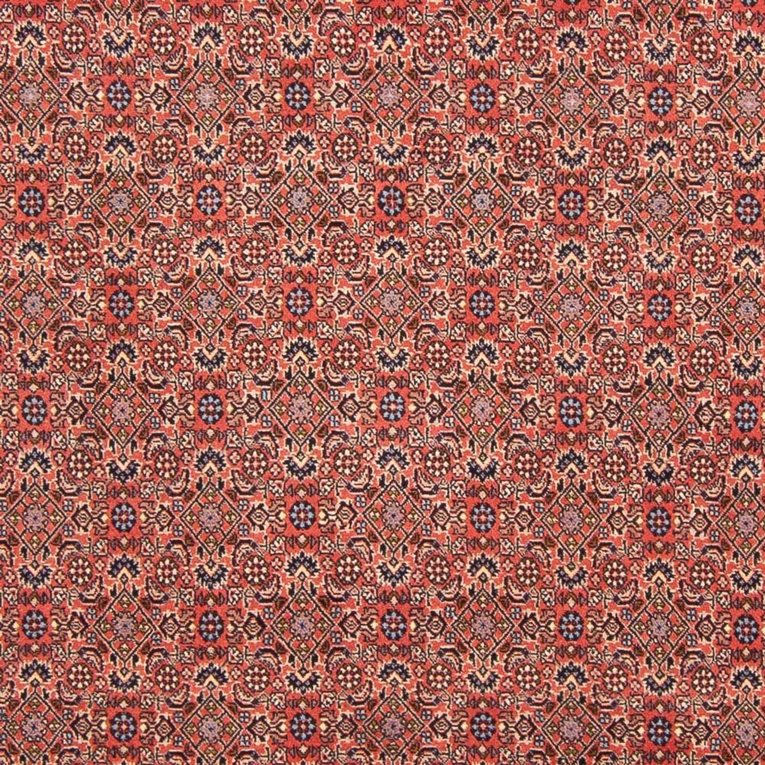Persisk tæppe - Bijar - Royal - 298 x 196 cm - rød