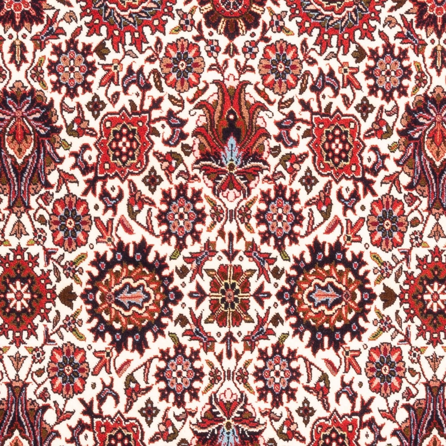 Persisk tæppe - Bijar - Royal - 184 x 110 cm - creme