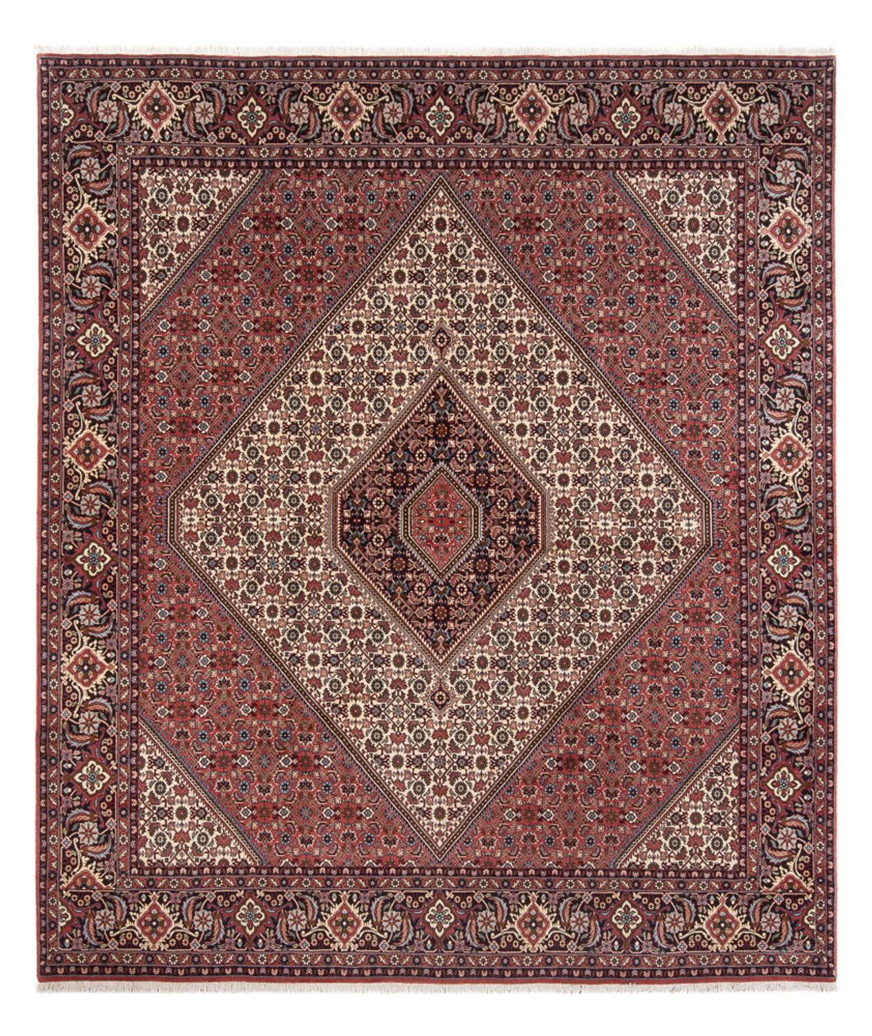 Persisk tæppe - Bijar - Royal - 296 x 252 cm - creme