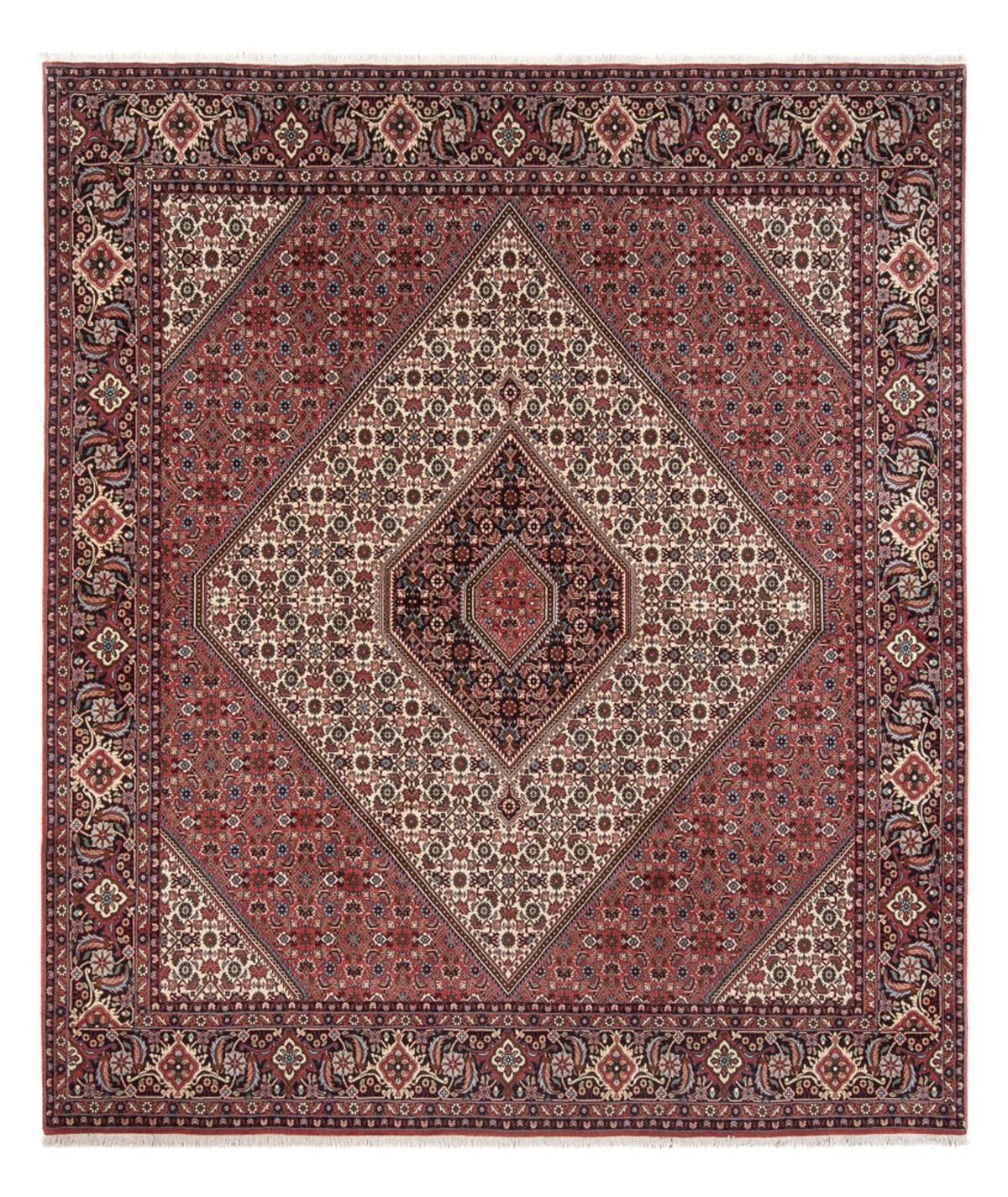 Persisk tæppe - Bijar - Royal - 296 x 252 cm - creme