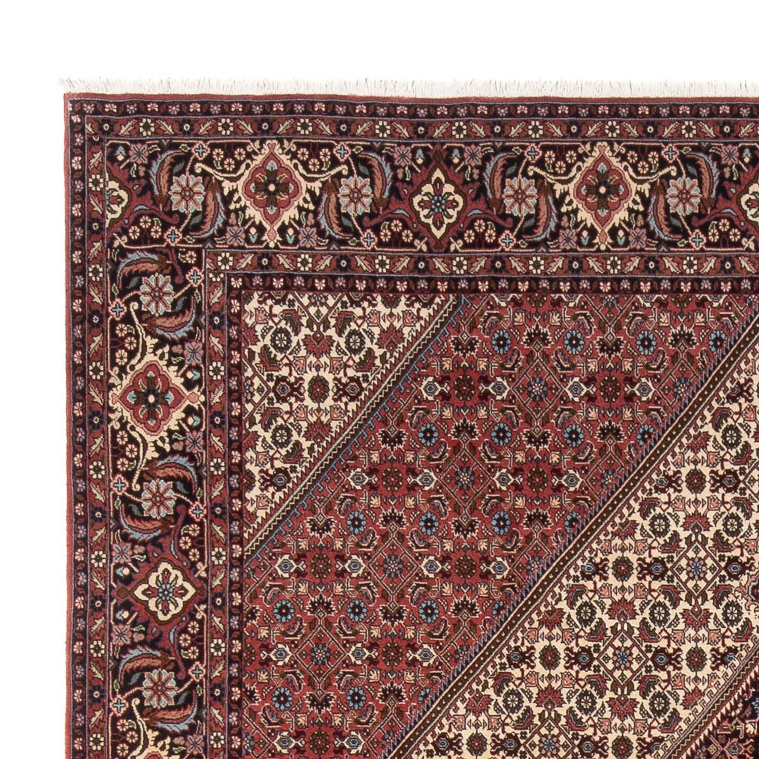 Persisk tæppe - Bijar - Royal - 296 x 252 cm - creme