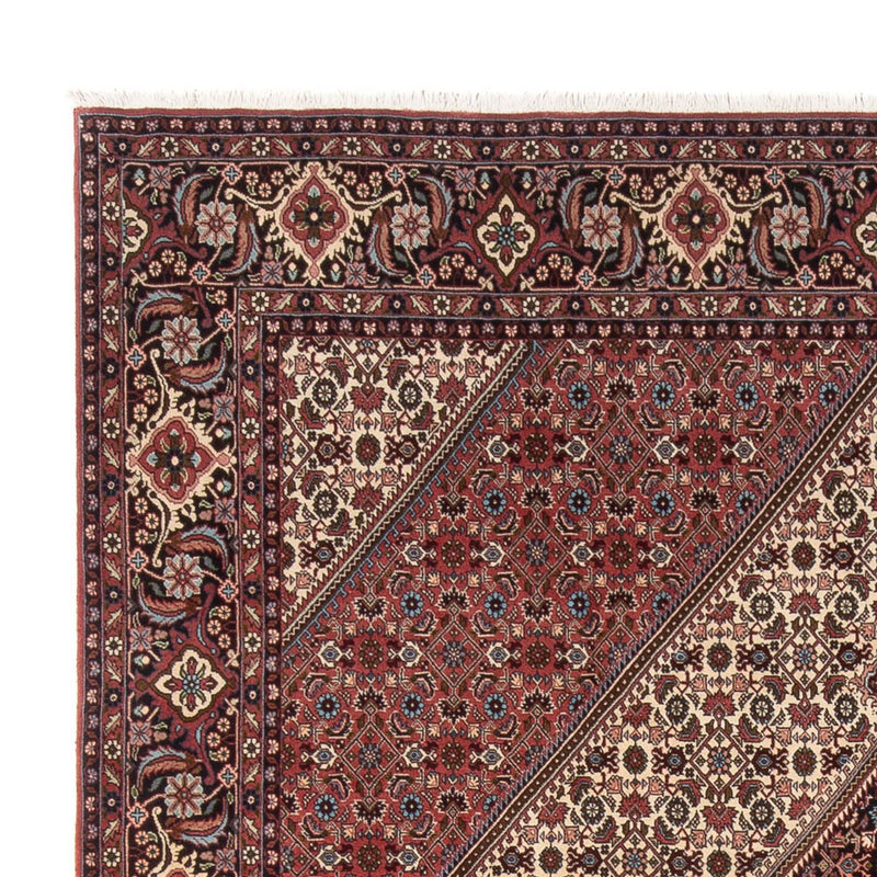 Persisk tæppe - Bijar - Royal - 296 x 252 cm - creme