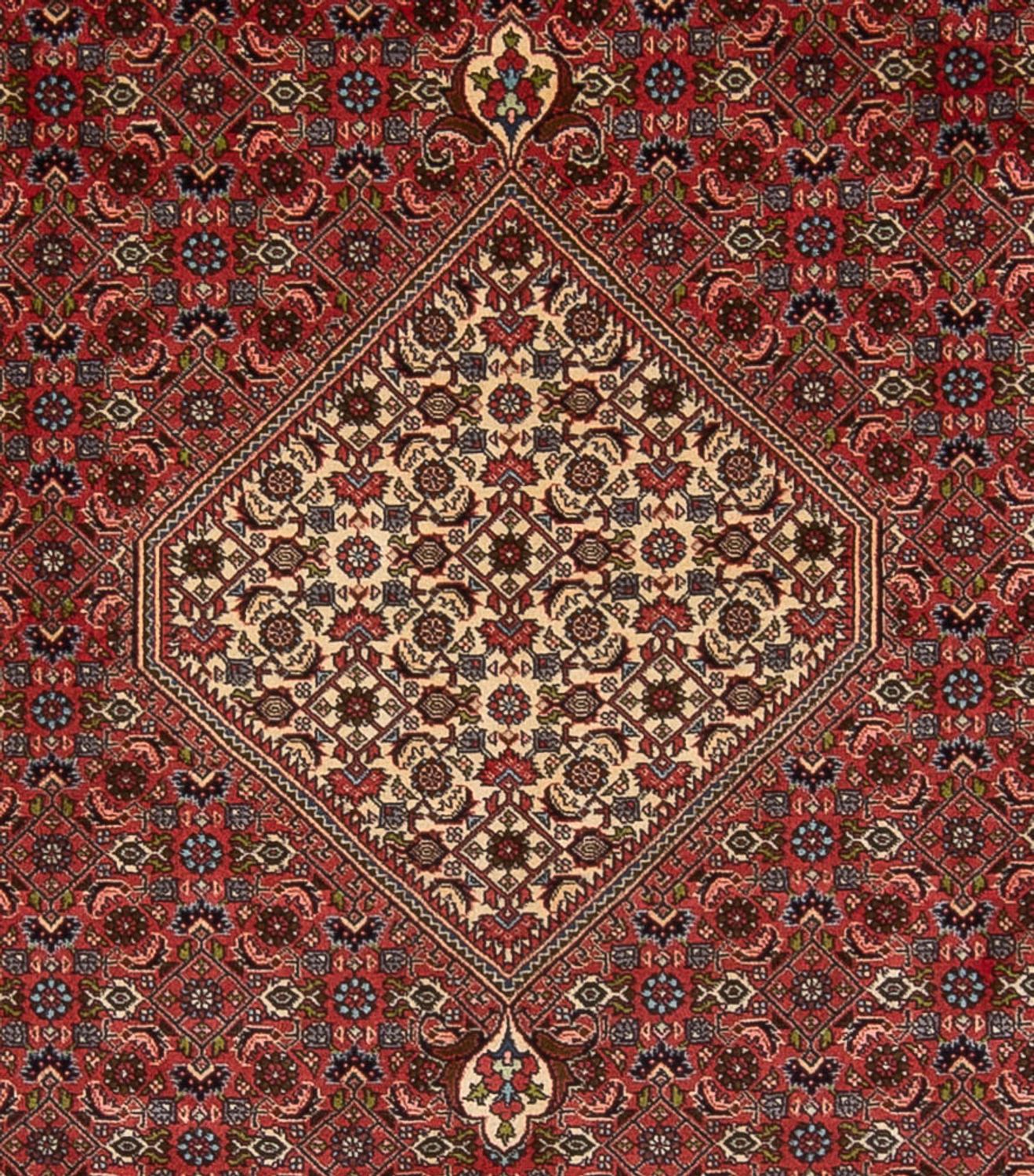 Persisk tæppe - Bijar - Royal - 314 x 255 cm - mørkerød