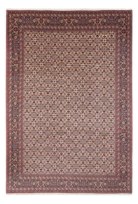 Persisk tæppe - Bijar - Royal - 344 x 245 cm - creme