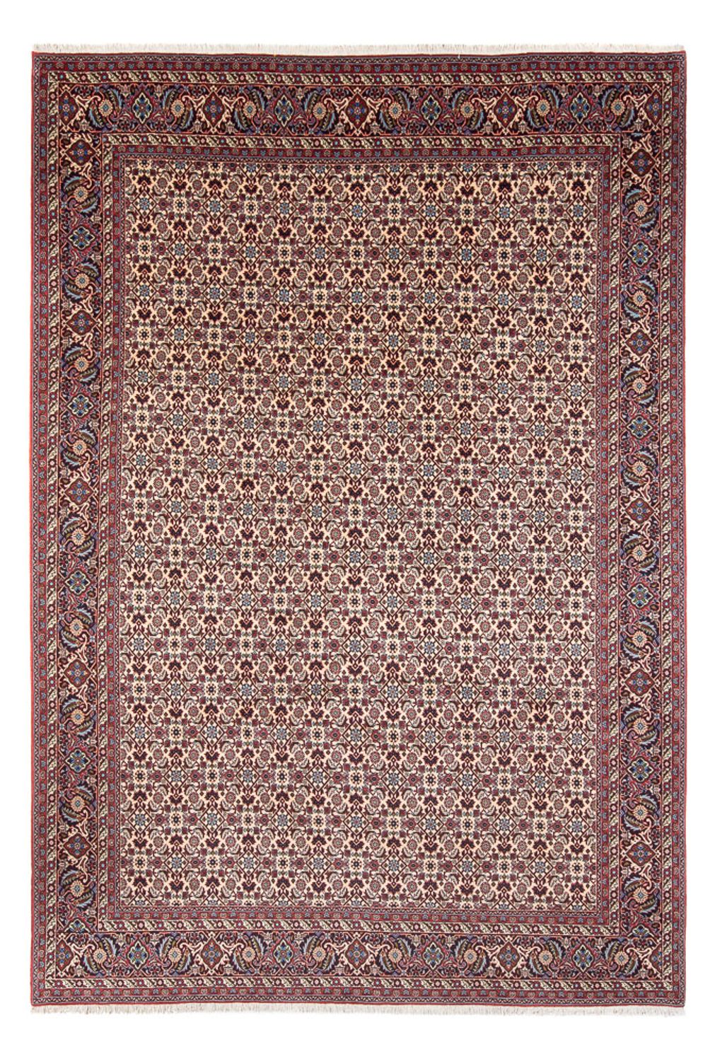 Persisk tæppe - Bijar - Royal - 344 x 245 cm - creme