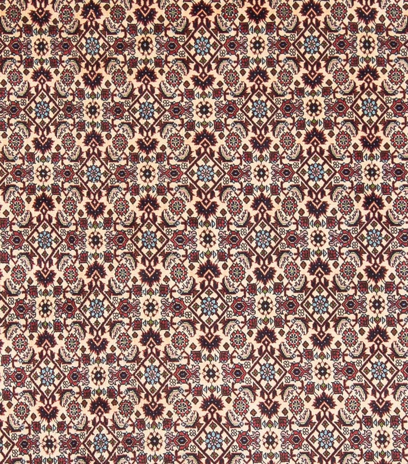 Persisk tæppe - Bijar - Royal - 344 x 245 cm - creme