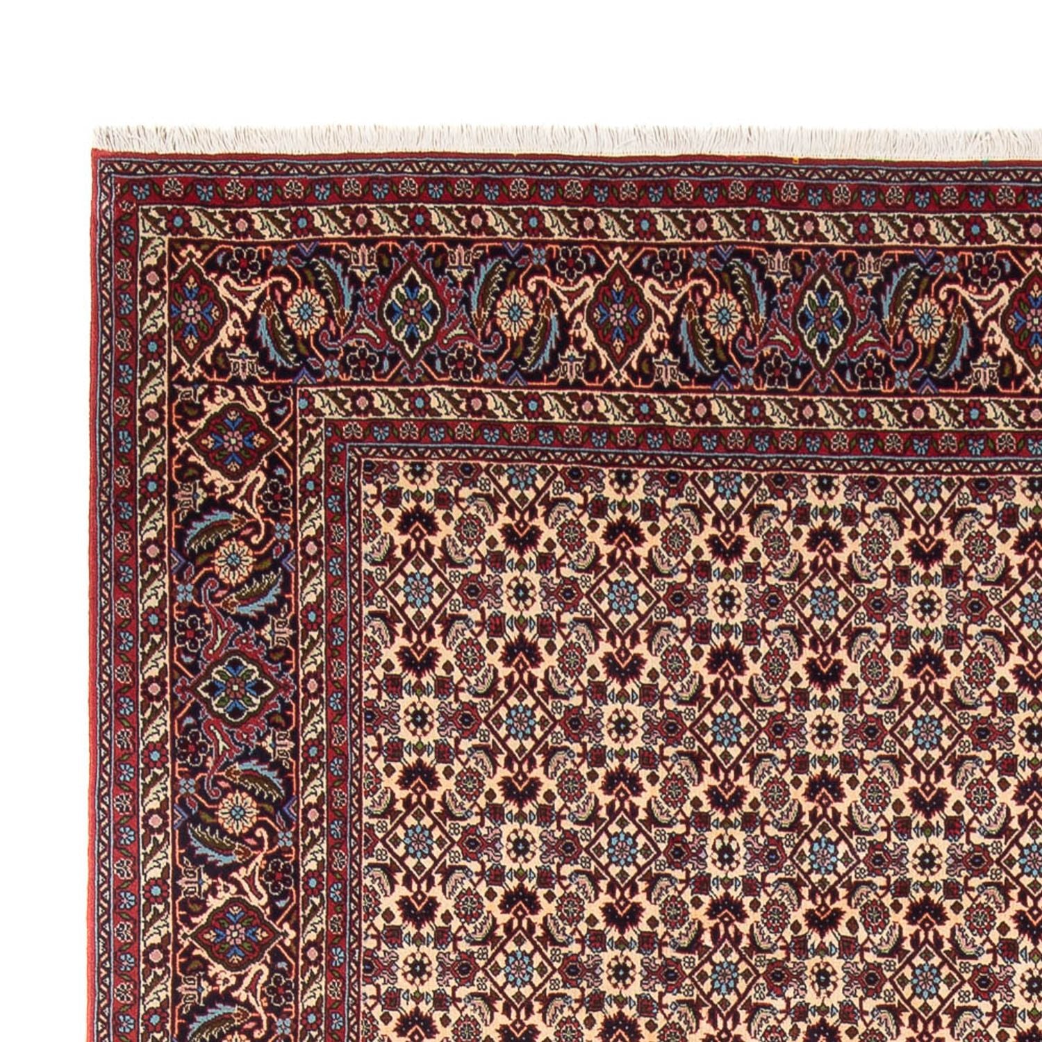 Persisk tæppe - Bijar - Royal - 344 x 245 cm - creme