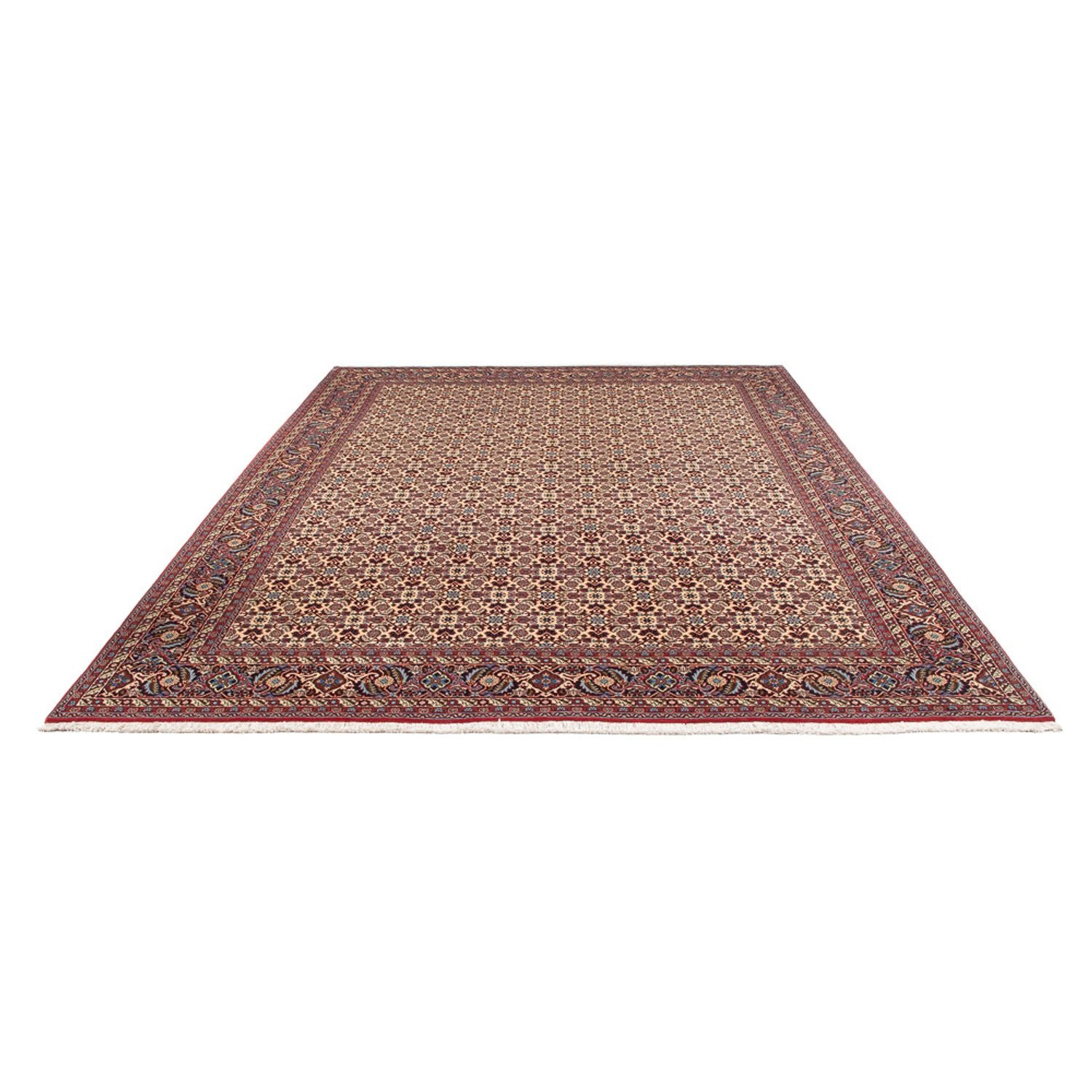 Persisk tæppe - Bijar - Royal - 344 x 245 cm - creme