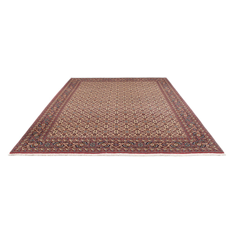 Persisk tæppe - Bijar - Royal - 344 x 245 cm - creme