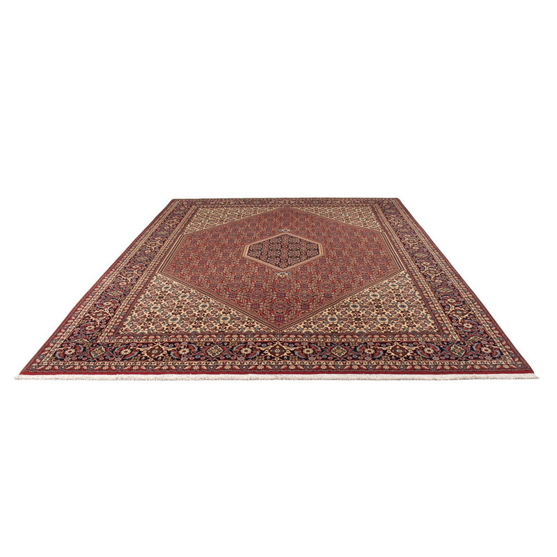 Persisk tæppe - Bijar - Royal - 341 x 246 cm - mørkerød