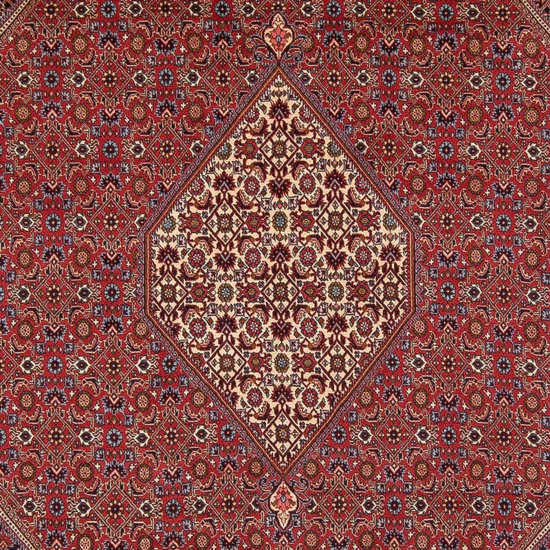 Persisk tæppe - Bijar - Royal - 342 x 249 cm - rød