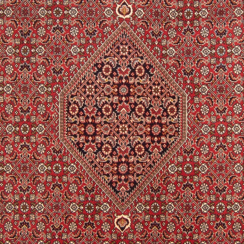 Persisk tæppe - Bijar - Royal - 298 x 203 cm - rød