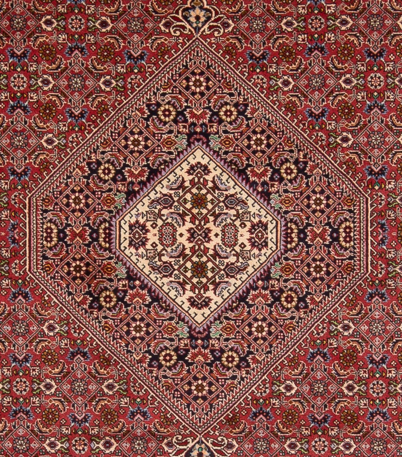 Persisk tæppe - Bijar - Royal - 339 x 249 cm - mørkerød