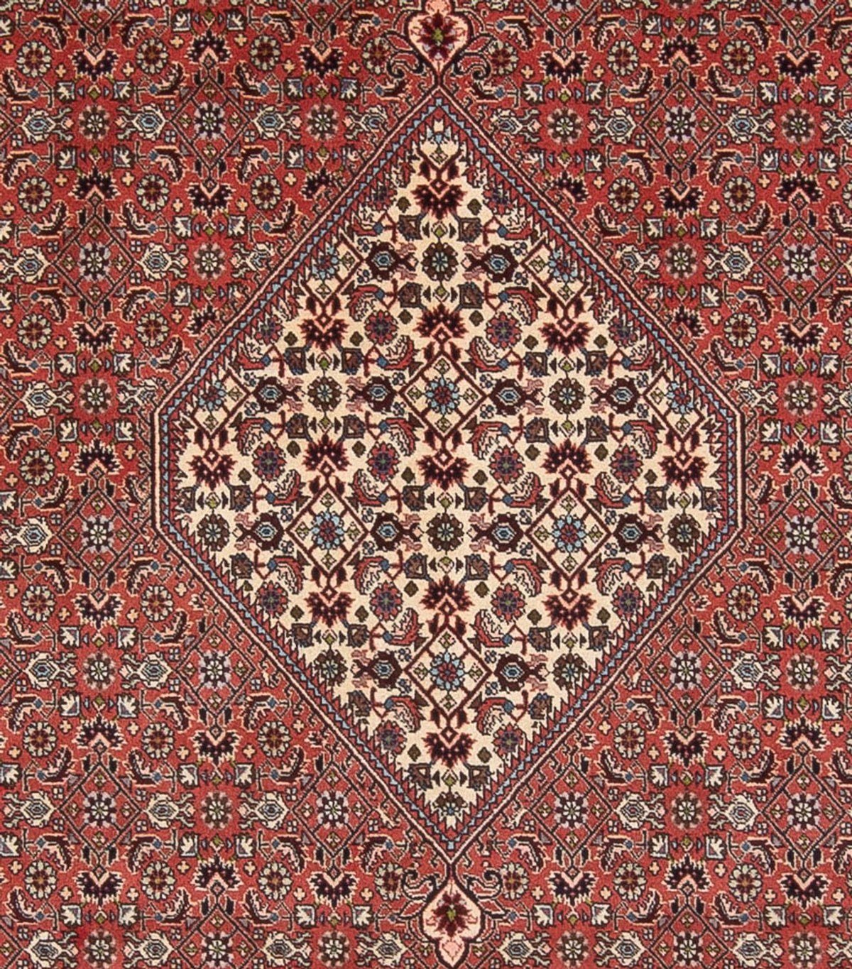 Persisk tæppe - Bijar - Royal - 334 x 248 cm - lysrød