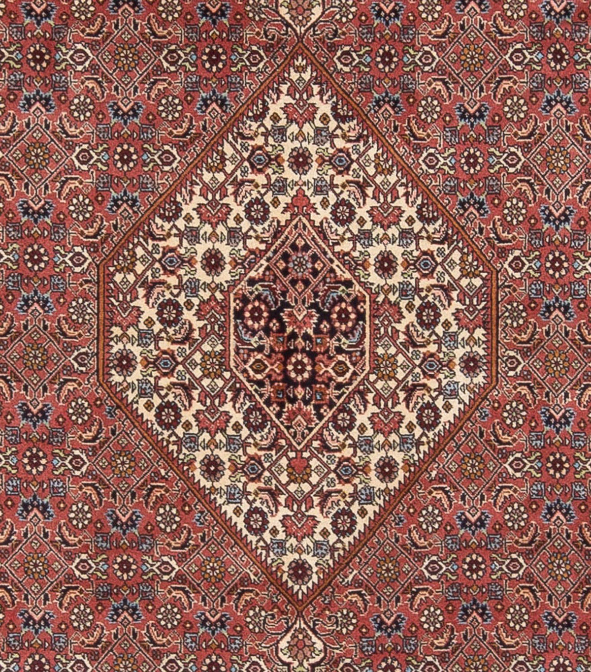 Persisk tæppe - Bijar - Royal - 299 x 244 cm - mørkerød
