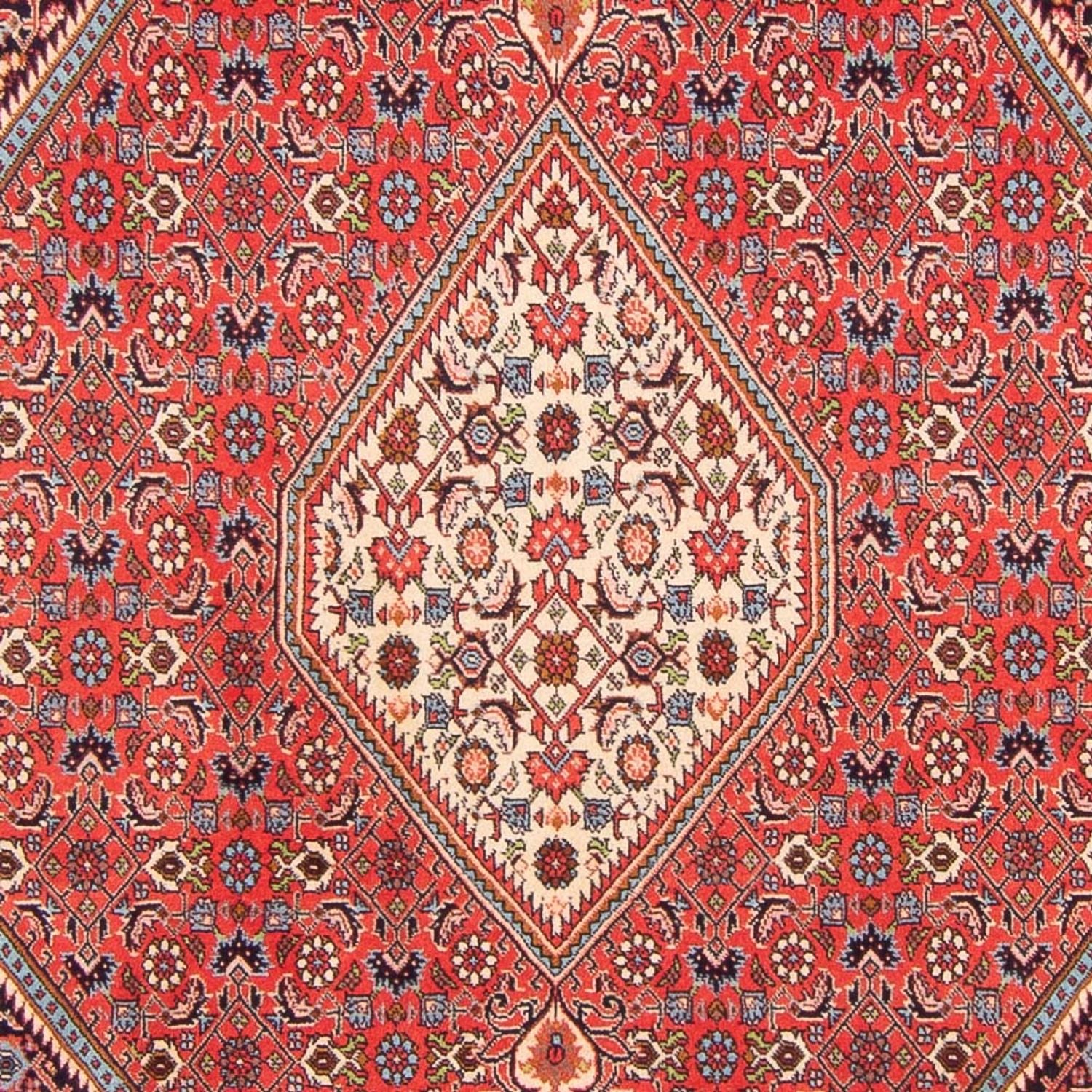 Persisk tæppe - Bijar - Royal - 267 x 200 cm - rød
