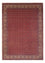 Persisk tæppe - Bijar - Royal - 347 x 254 cm - rød