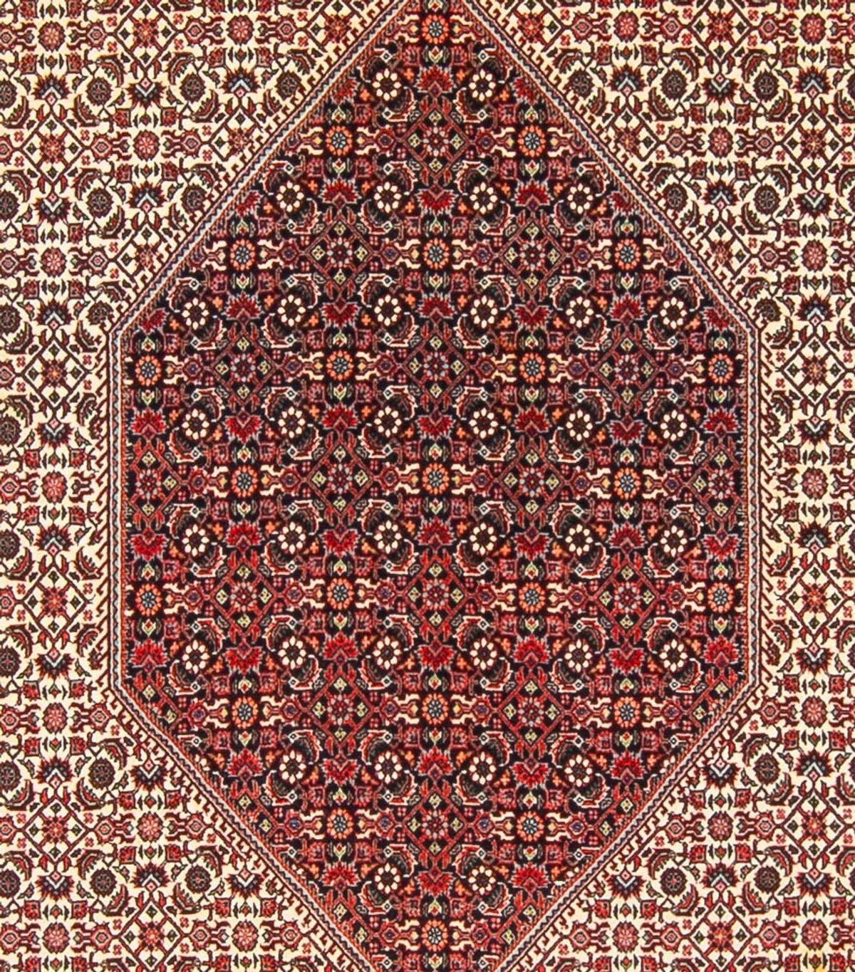 Persisk tæppe - Bijar - Royal - 300 x 253 cm - creme