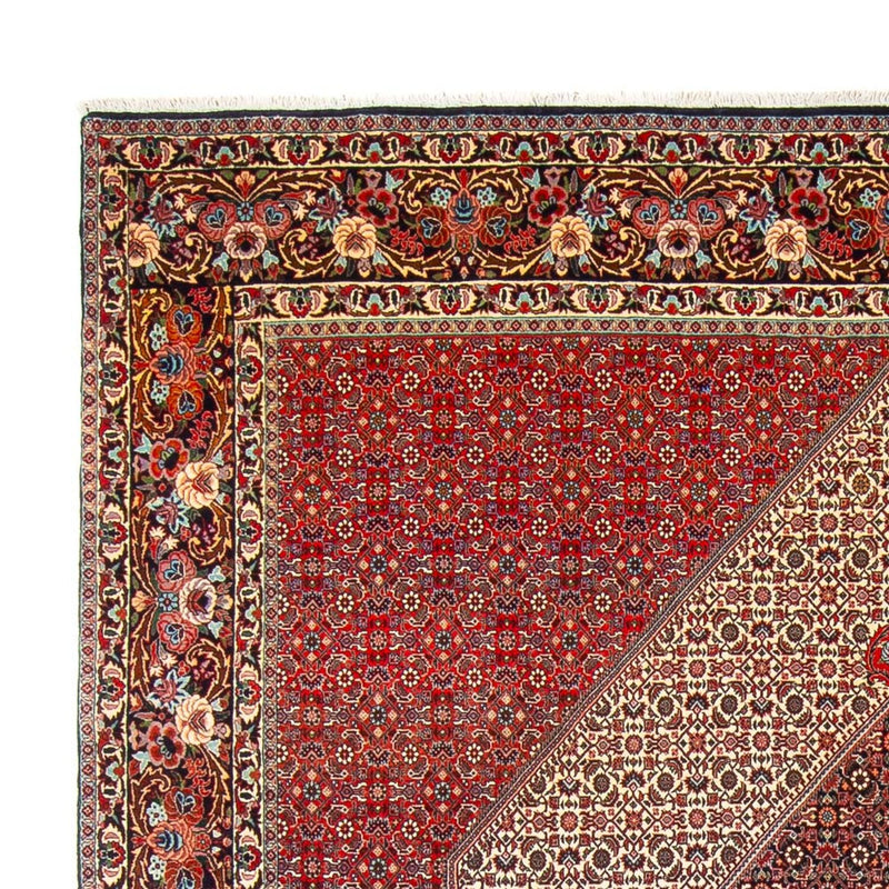 Persisk tæppe - Bijar - Royal - 300 x 253 cm - creme