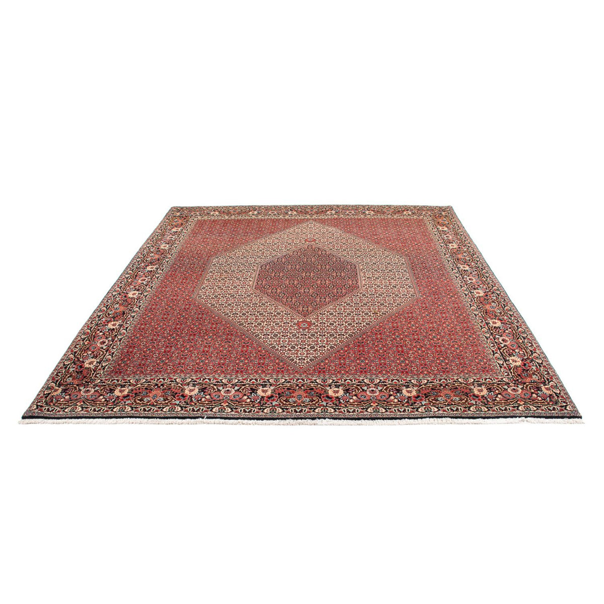 Persisk tæppe - Bijar - Royal - 300 x 253 cm - creme