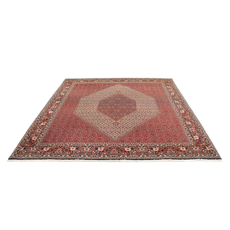 Persisk tæppe - Bijar - Royal - 300 x 253 cm - creme