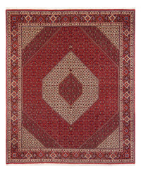Persisk tæppe - Bijar - Royal - 301 x 253 cm - creme