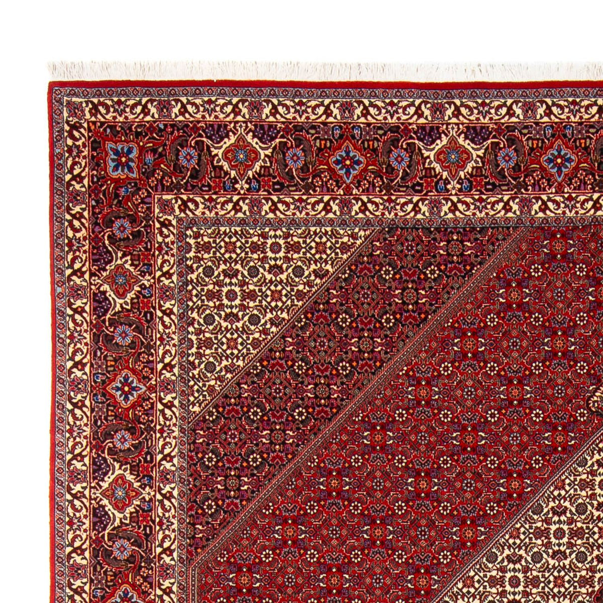 Bidjar - Takab Tæppe 253x301cm - Persisk tæppe