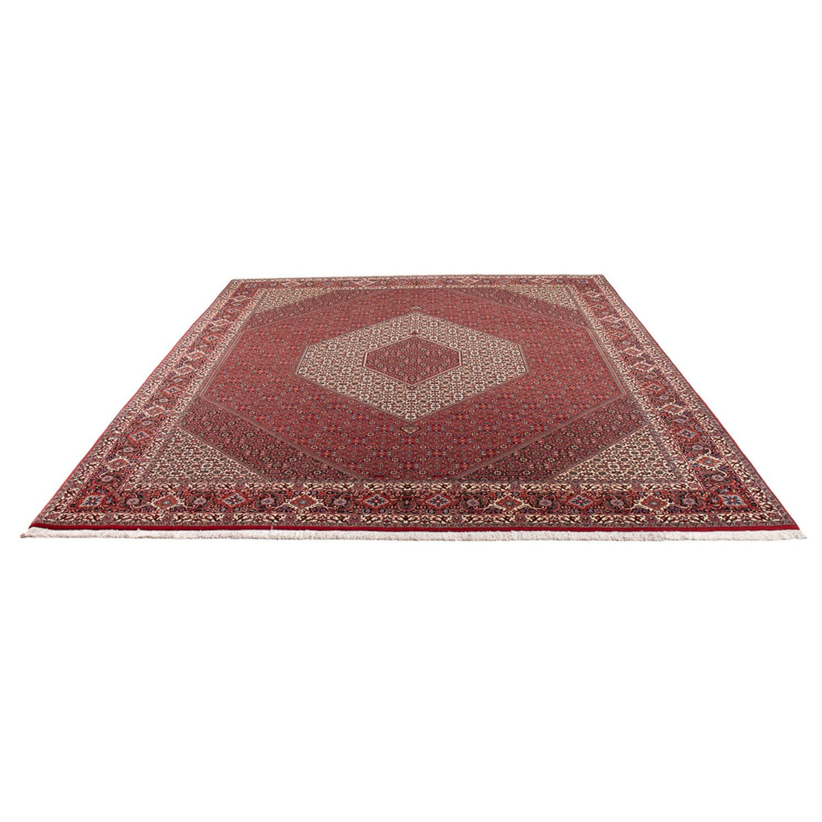 Persisk tæppe - Bijar - Royal - 301 x 253 cm - creme