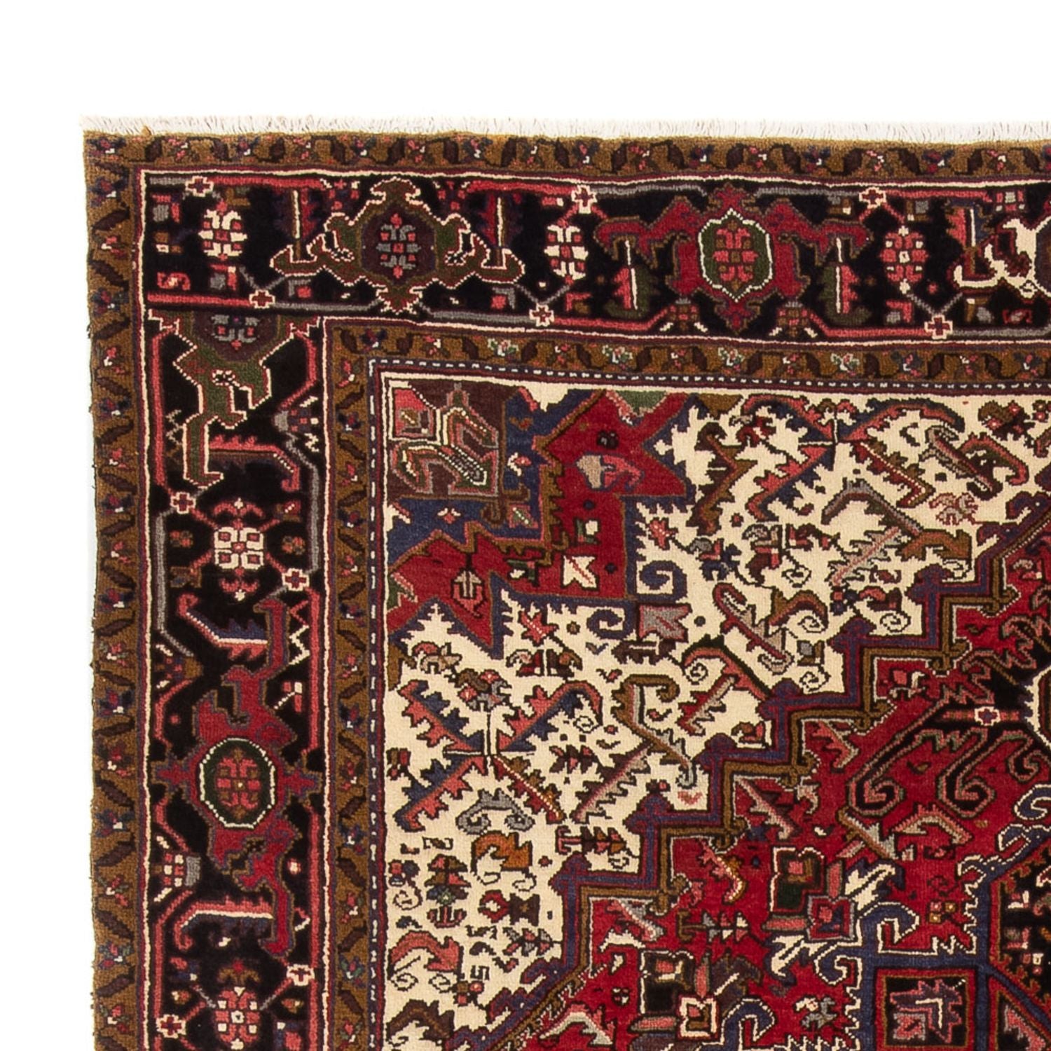 Persisk tæppe - Nomadisk - 334 x 255 cm - creme