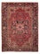 Persisk tæppe - Nomadisk - 350 x 250 cm - rød