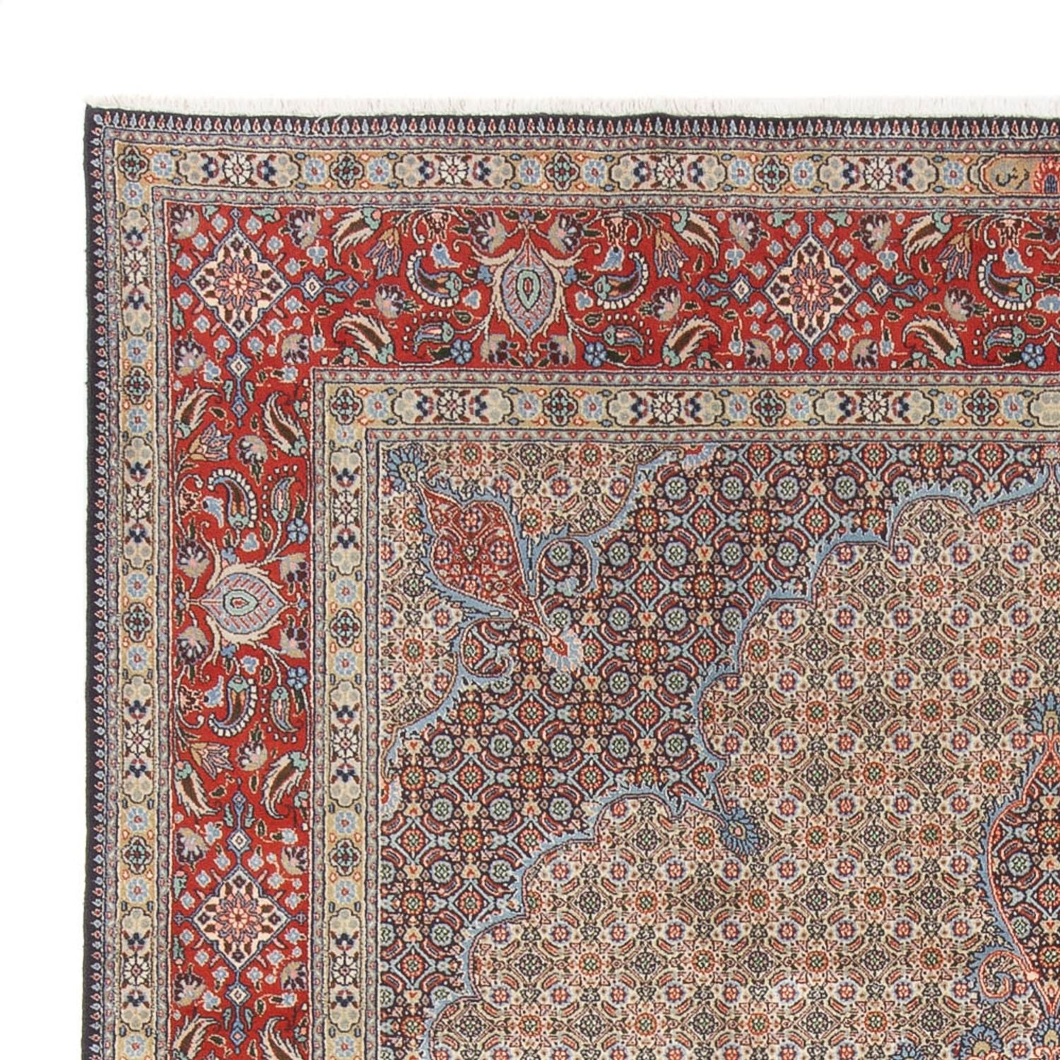 Persisk tæppe - Classic - 345 x 243 cm - lys brun