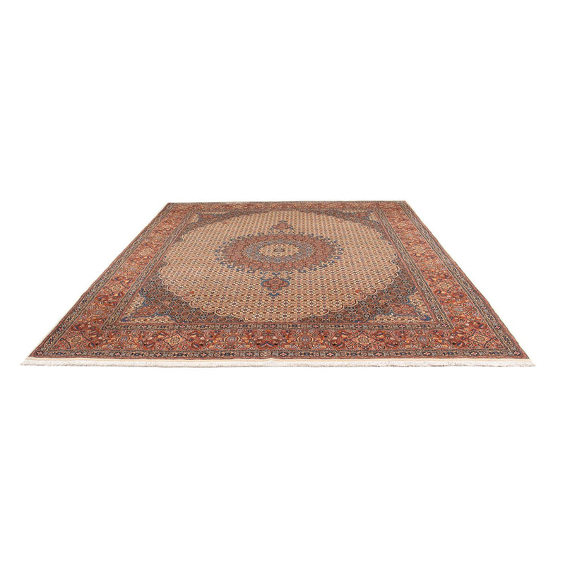 Persisk tæppe - Classic - 303 x 252 cm - mørk beige