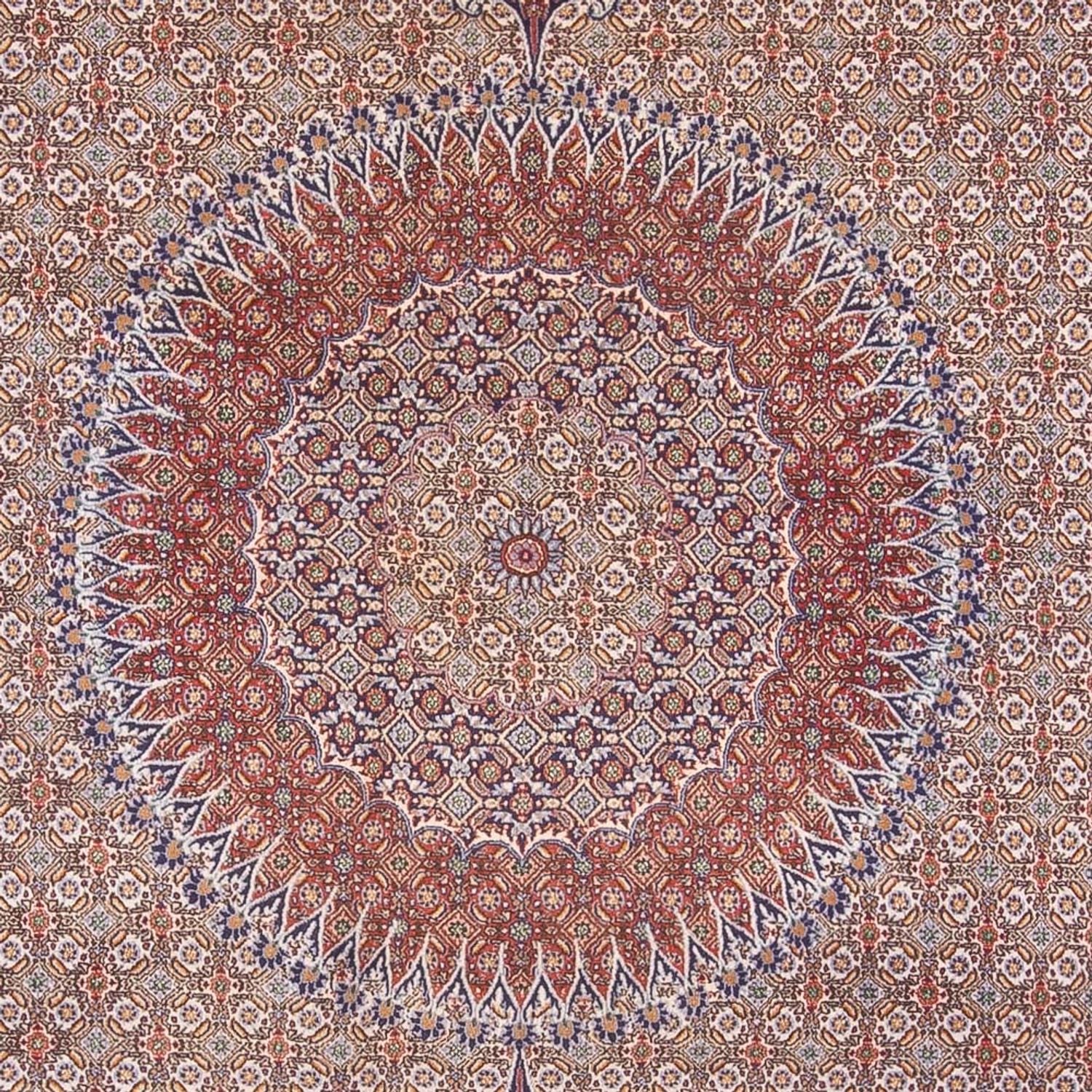 Persisk tæppe - Classic - 388 x 293 cm - mørk beige