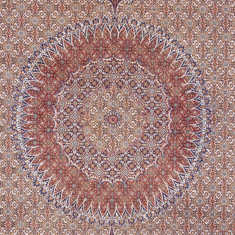 Persisk tæppe - Classic - 388 x 293 cm - mørk beige