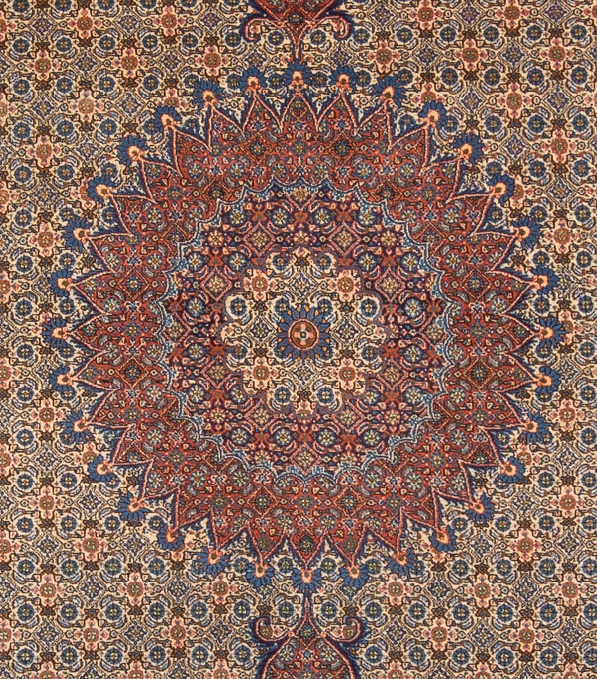 Persisk tæppe - Classic - 350 x 243 cm - mørk beige