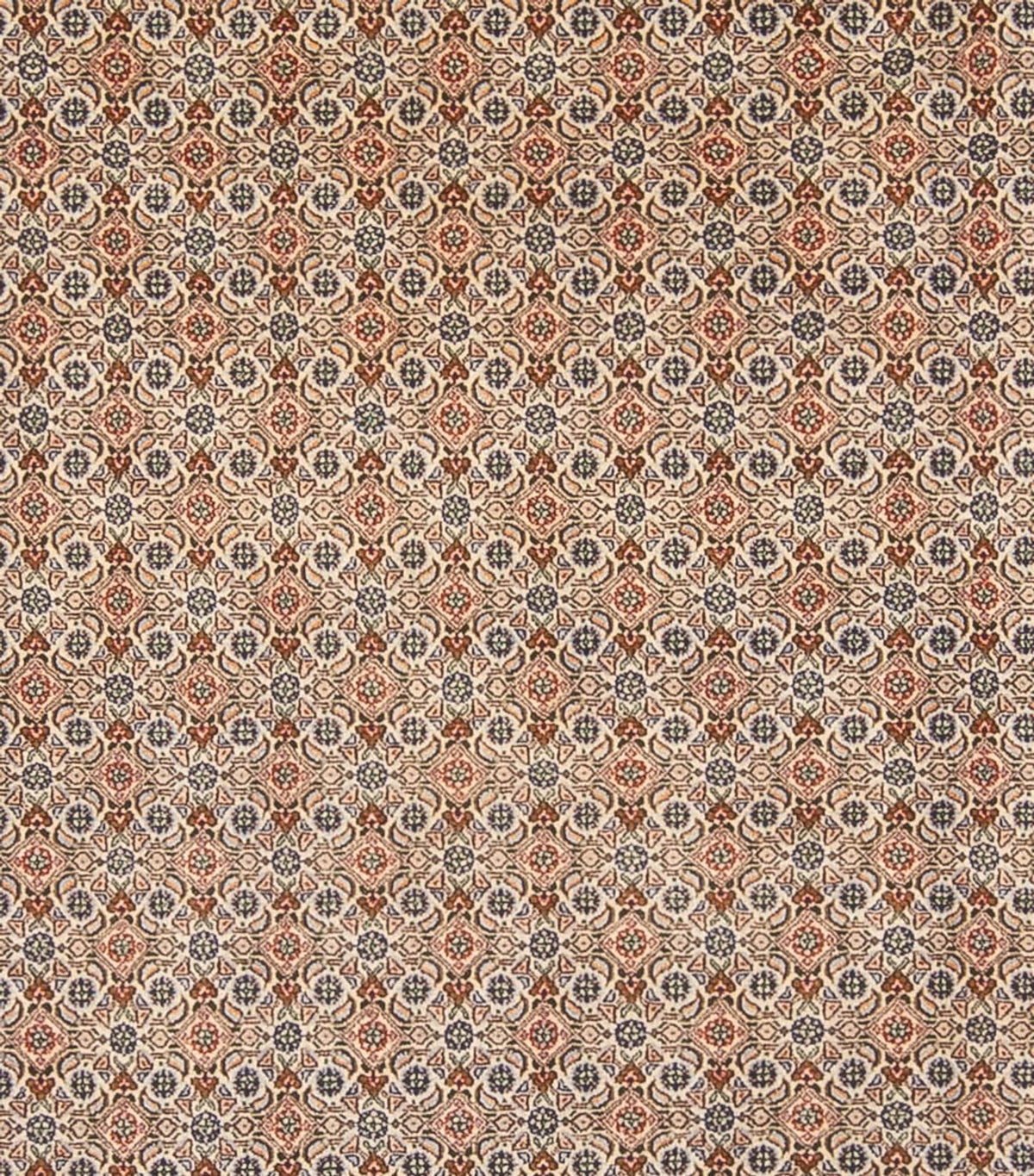 Persisk tæppe - Classic - 343 x 247 cm - mørk beige