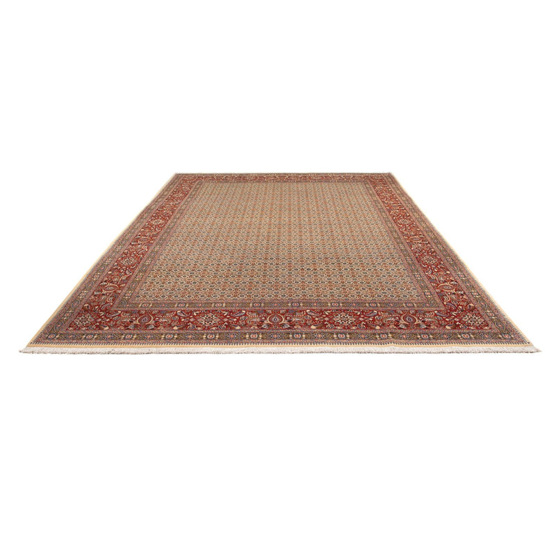 Persisk tæppe - Classic - 343 x 247 cm - mørk beige