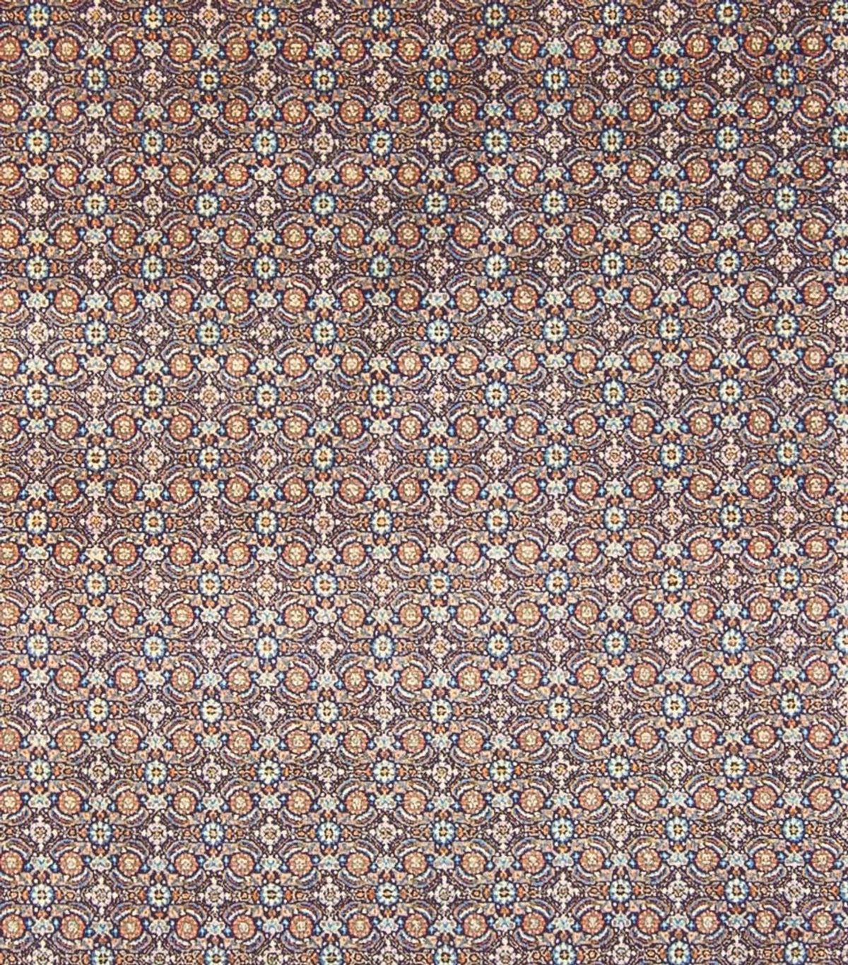 Persisk tæppe - Classic - 343 x 248 cm - mørkeblå