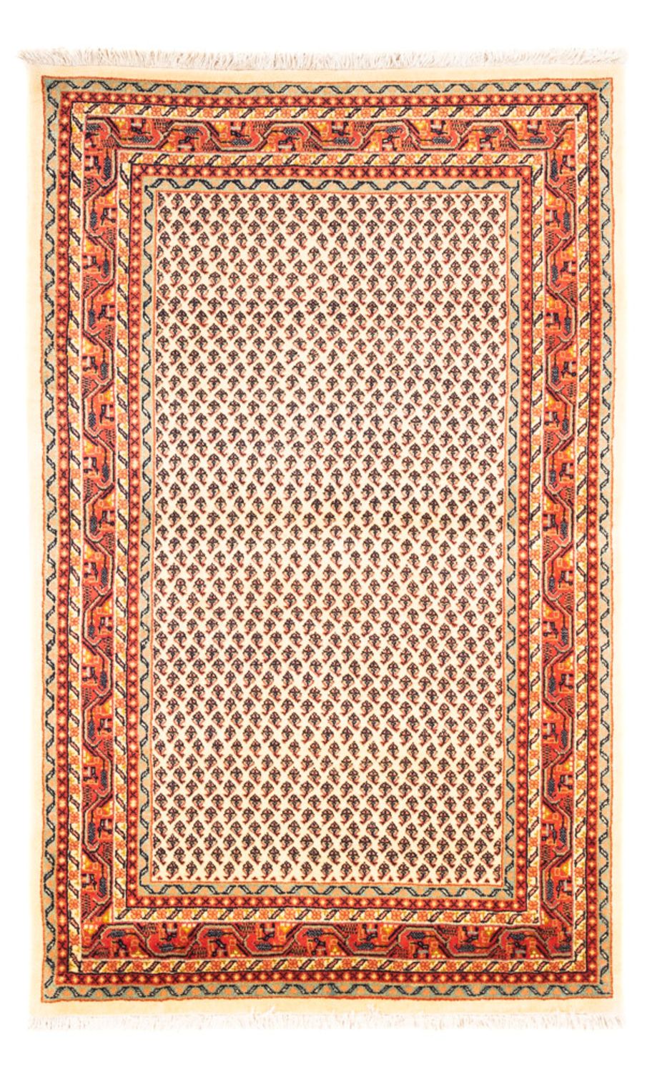 Persisk tæppe - Mir - 160 x 107 cm - creme
