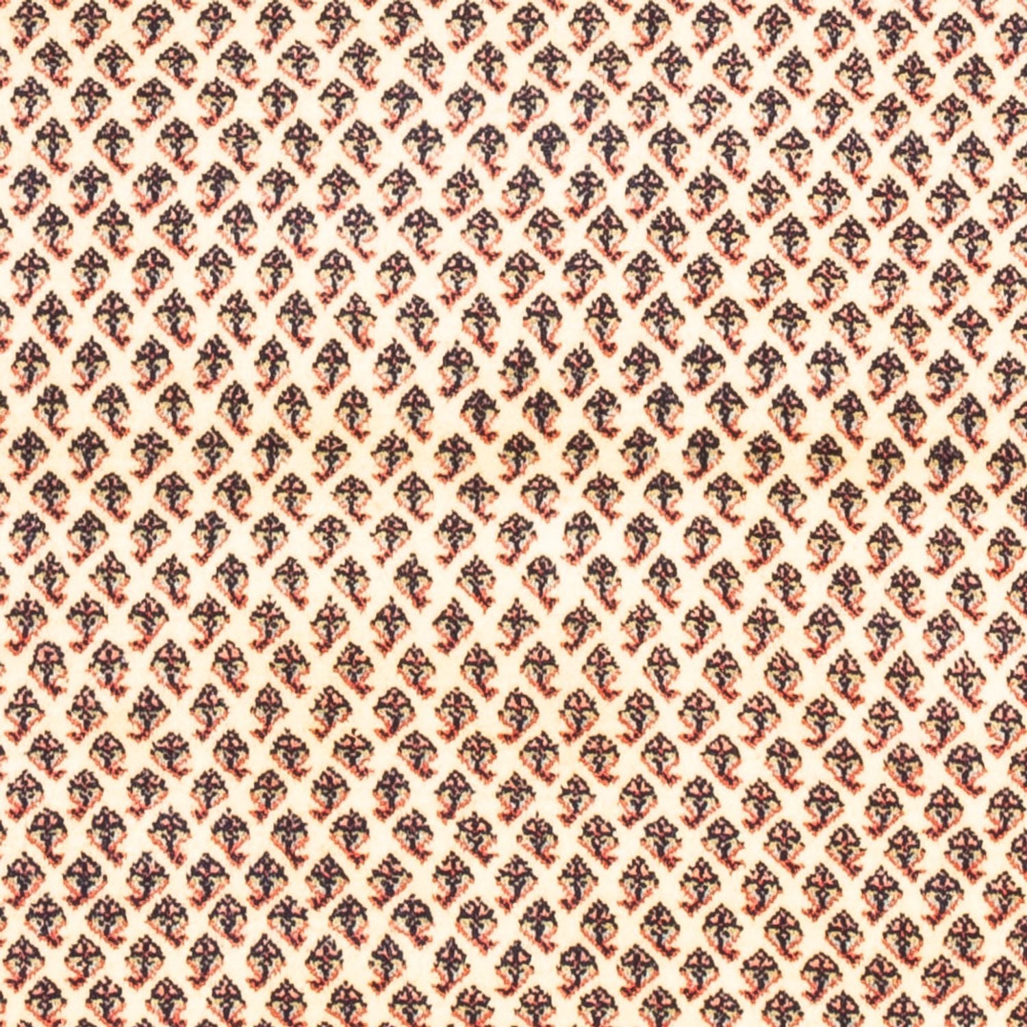 Persisk tæppe - Mir - 160 x 107 cm - creme