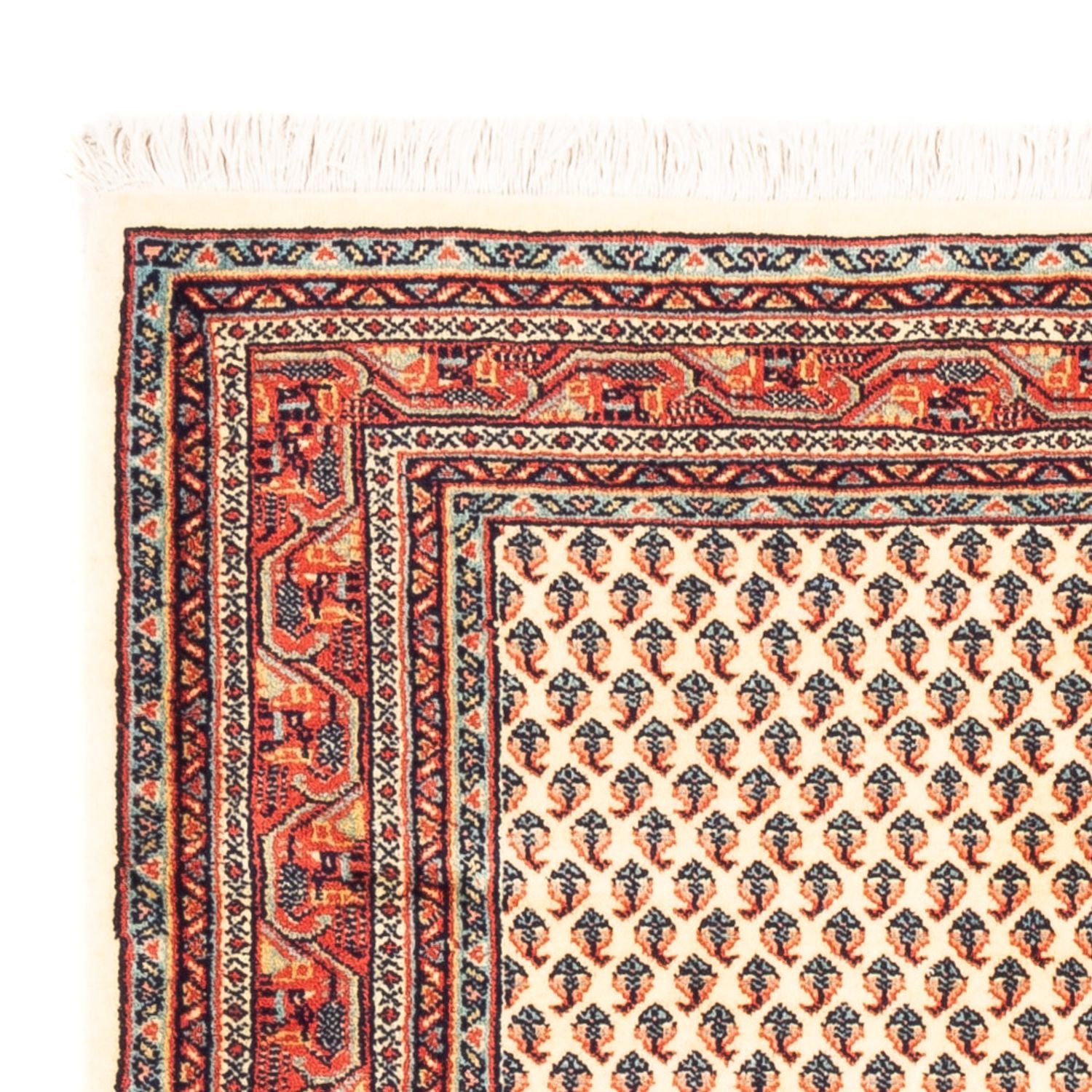 Persisk tæppe - Mir - 158 x 110 cm - creme