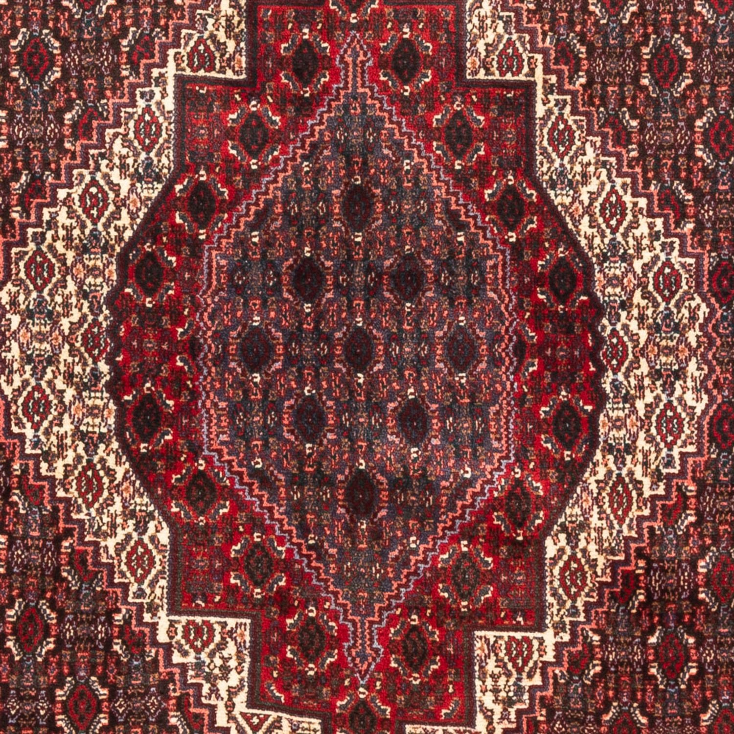 Persisk tæppe - Classic - 145 x 123 cm - mørkeblå