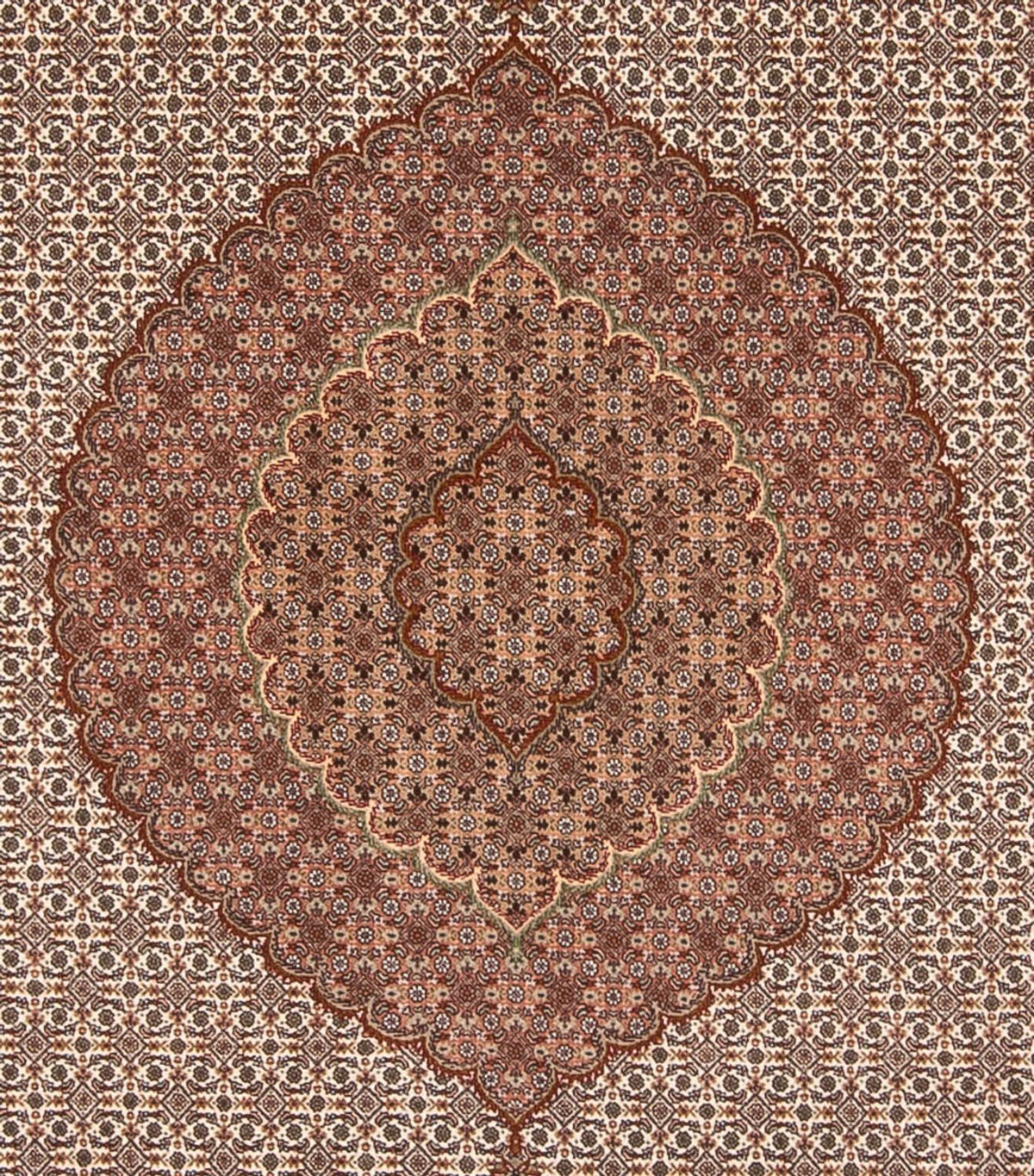 Persisk tæppe - Tabriz - 355 x 250 cm - lys brun
