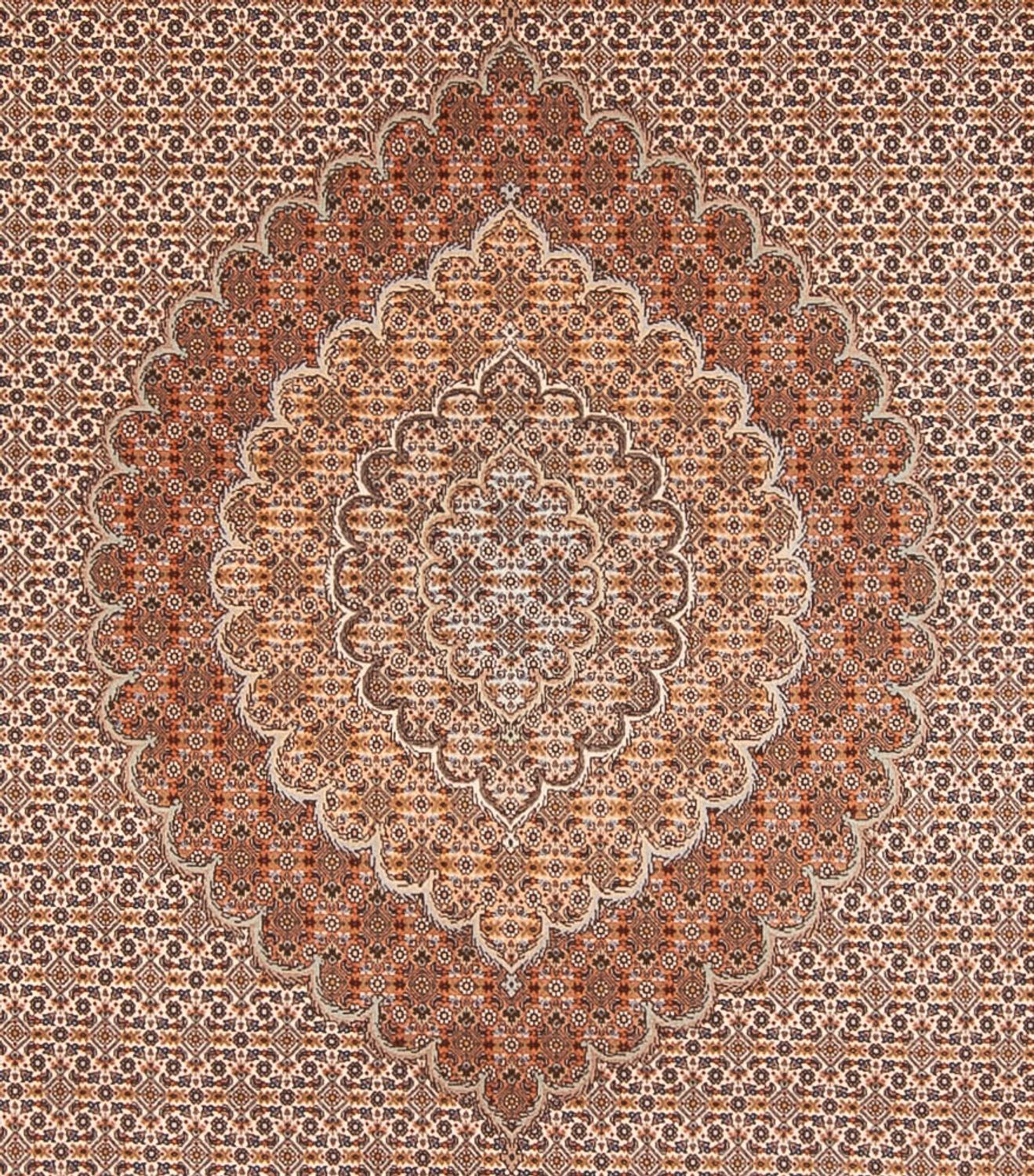 Persisk tæppe - Tabriz - 349 x 254 cm - lys brun