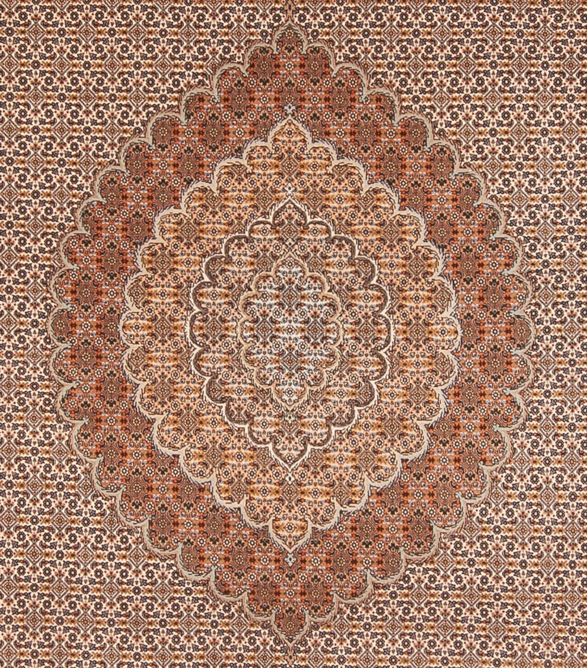 Persisk tæppe - Tabriz - 349 x 254 cm - lys brun