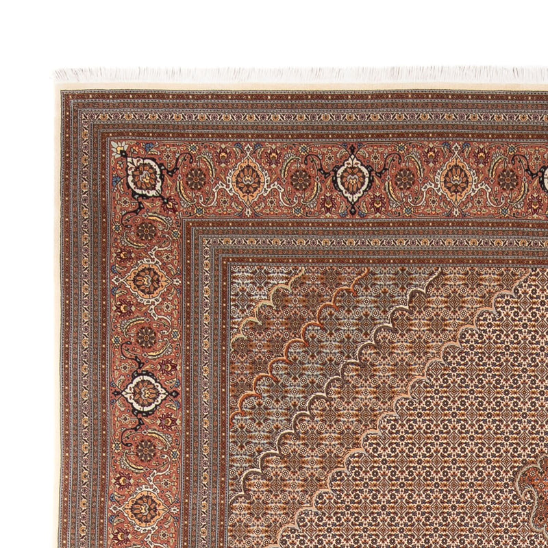 Persisk tæppe - Tabriz - 349 x 254 cm - lys brun