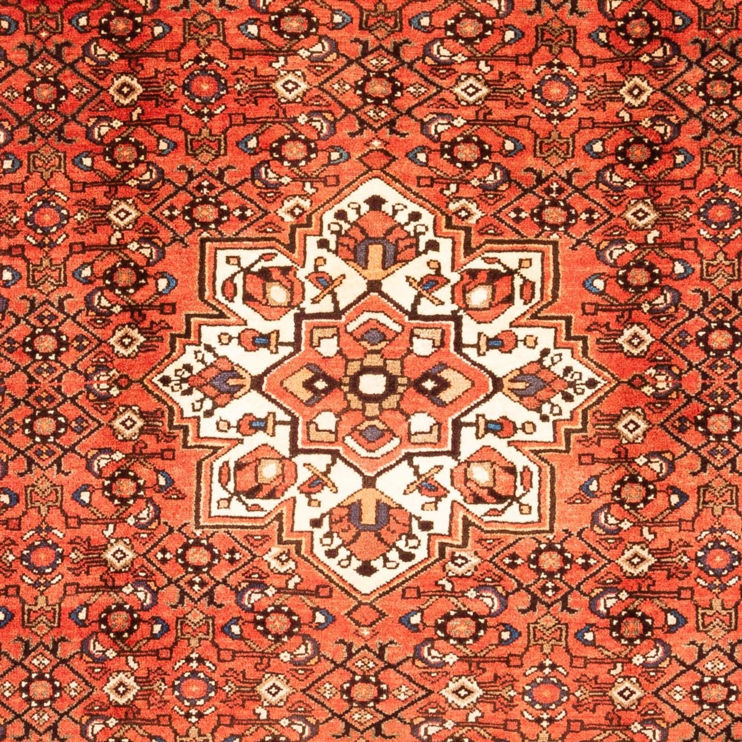 Persisk tæppe - Nomadisk - 297 x 202 cm - rød