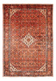 Kolyai Tæppe 314x216cm - Persisk tæppe
