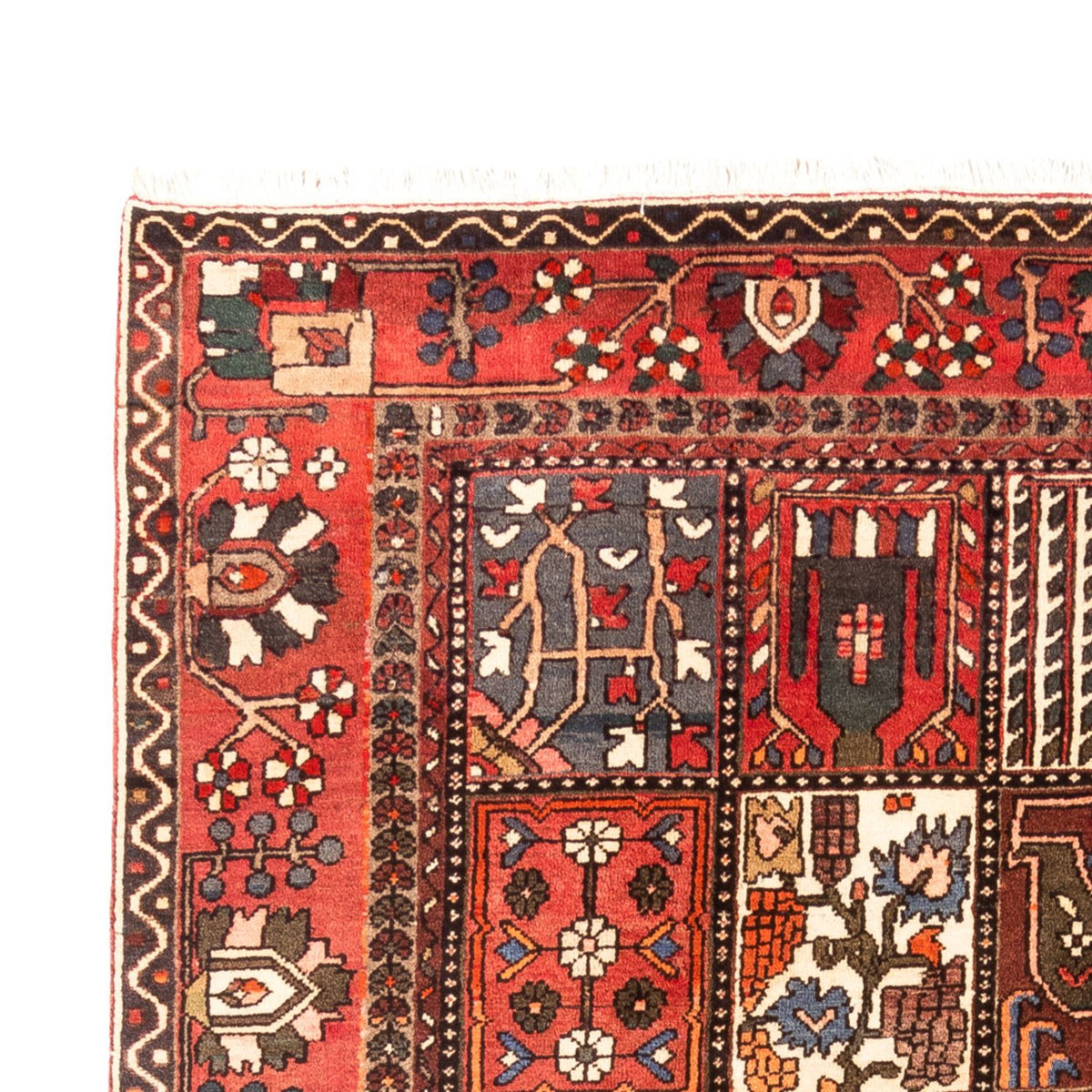 Bakhtiari Tæppe 207x314cm - Persisk tæppe